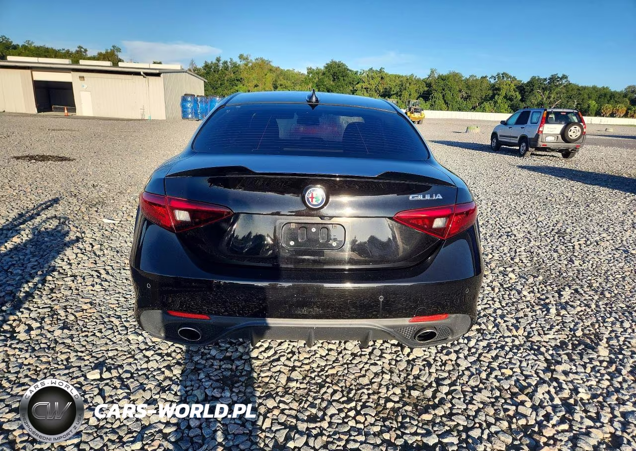 2017 Alfa Romeo Giulia VIN:ZARFAEBN8H7540654 - 6
