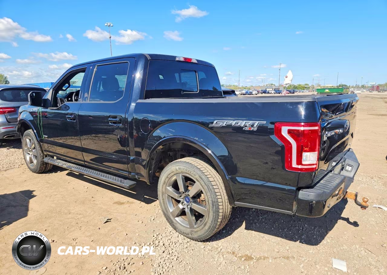 2016 Ford F150 Supercrew VIN:1FTEW1EP6GFA70366 - 2