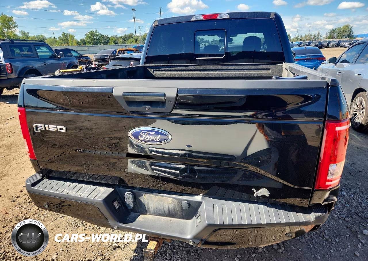 2016 Ford F150 Supercrew VIN:1FTEW1EP6GFA70366 - 6