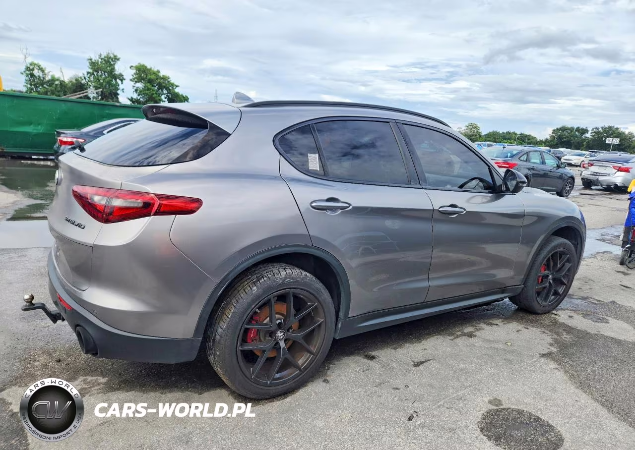 2019 Alfa Romeo Stelvio VIN:ZASPAJAN6K7C41588 - 3