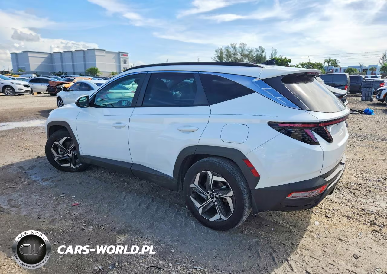 2024 Hyundai Tucson Sel VIN:5NMJF3DE3RH366347 - 2
