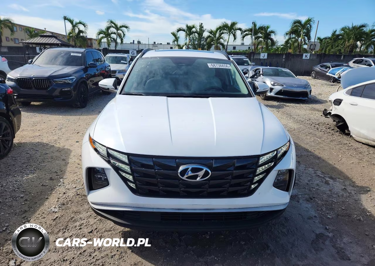 2024 Hyundai Tucson Sel VIN:5NMJF3DE3RH366347 - 5