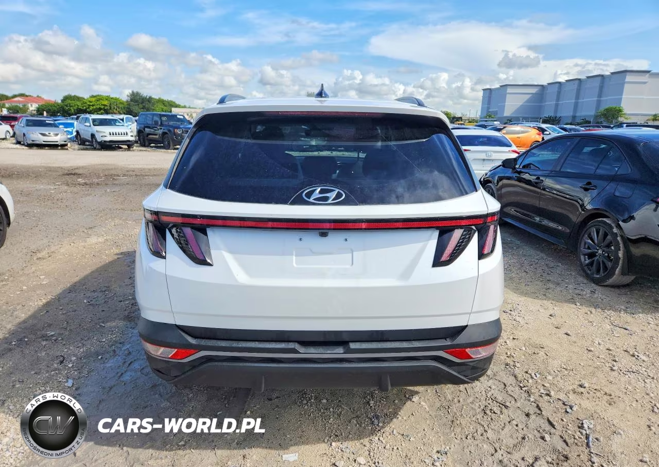 2024 Hyundai Tucson Sel VIN:5NMJF3DE3RH366347 - 6