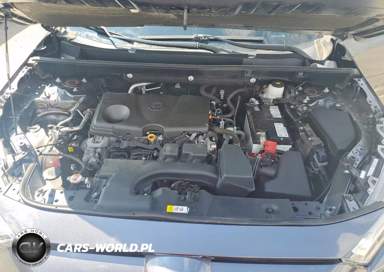 2023 Toyota Rav4 Le VIN:2T3F1RFV0PW356131 - 12