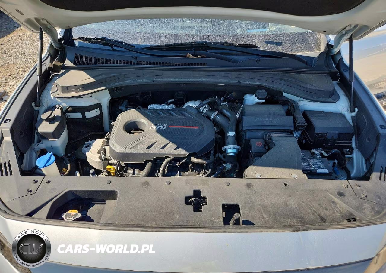 2020 Hyundai Santa Fe Limited 2.0T VIN:5NMS5CAA2LH170450 - 12