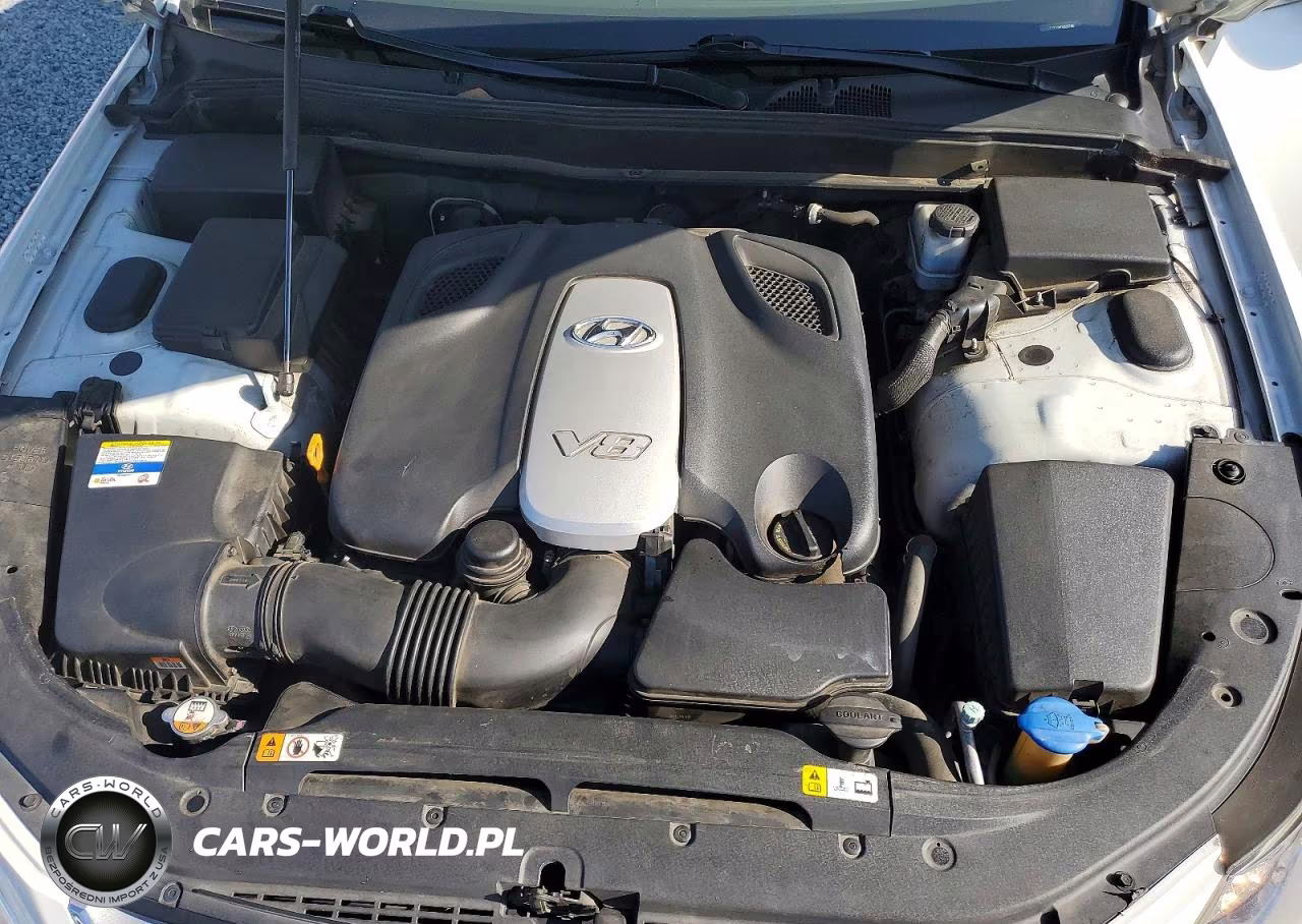 2012 Hyundai Genesis 4.6L VIN:KMHGC4DF3CU174682 - 11