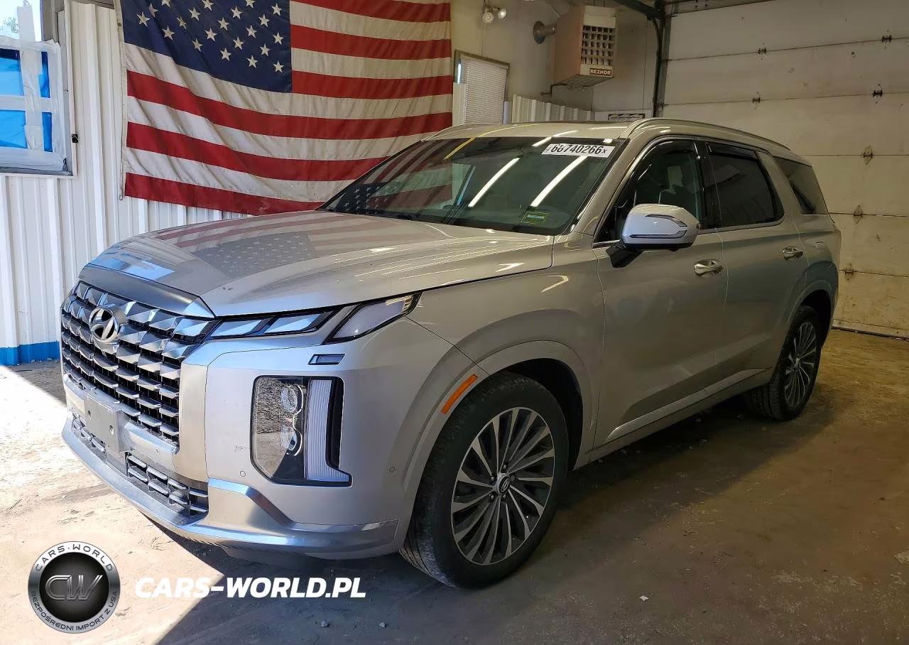 2025 Hyundai Palisade Calligraphy VIN:KM8R7DGE4SU880235 - 1