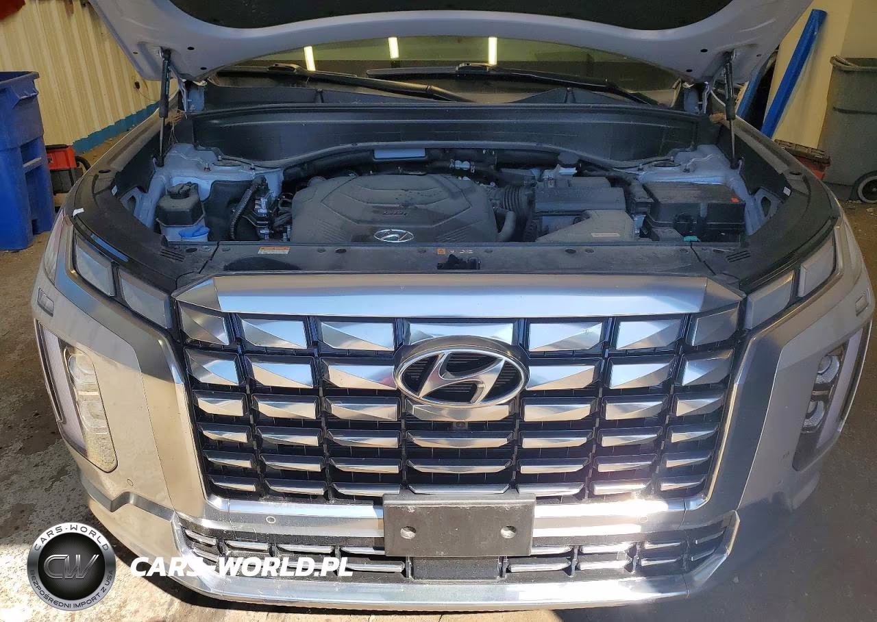 2025 Hyundai Palisade Calligraphy VIN:KM8R7DGE4SU880235 - 12