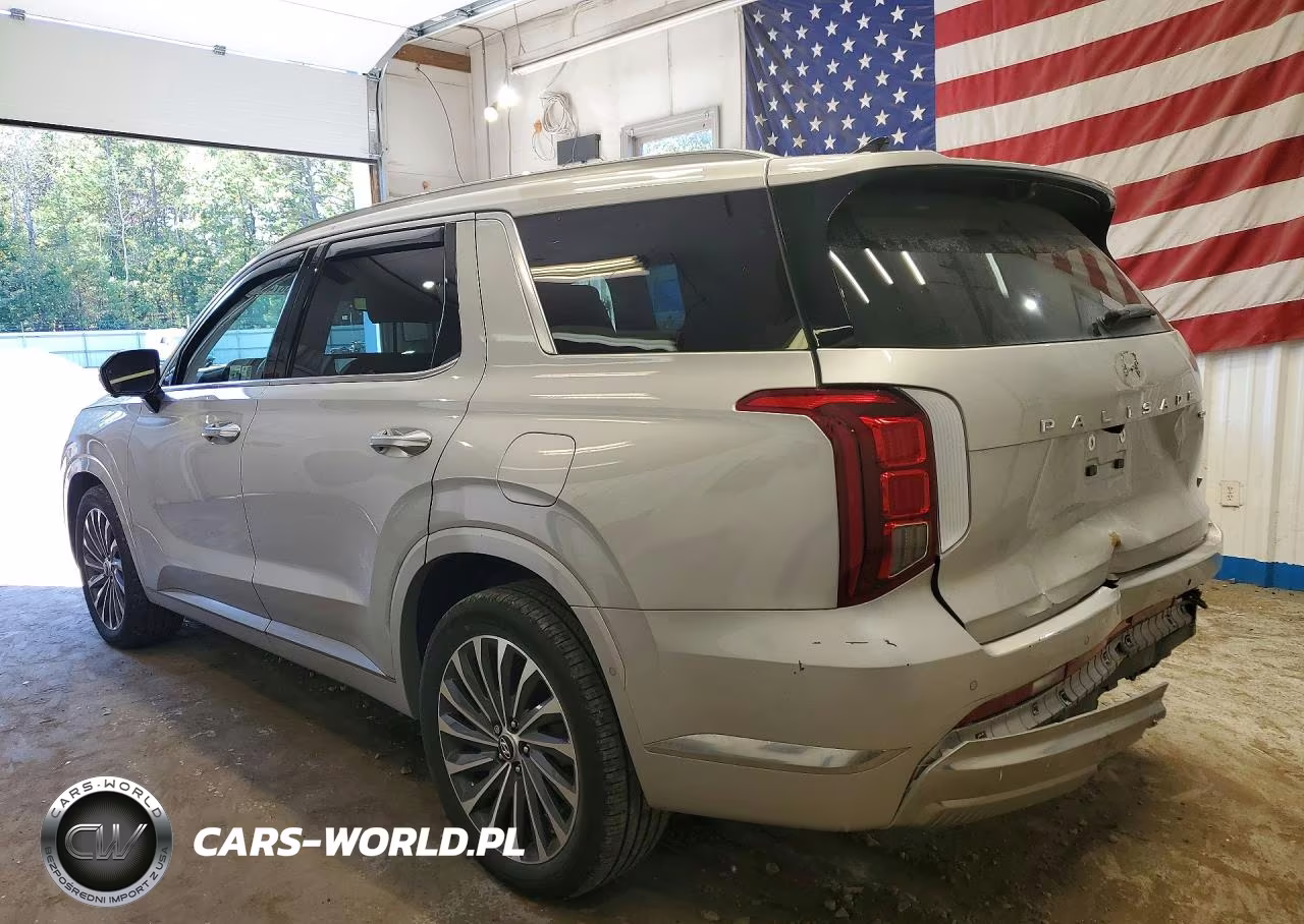 2025 Hyundai Palisade Calligraphy VIN:KM8R7DGE4SU880235 - 2