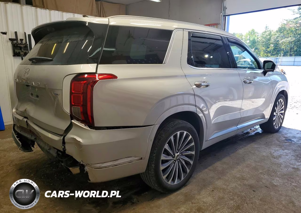 2025 Hyundai Palisade Calligraphy VIN:KM8R7DGE4SU880235 - 3