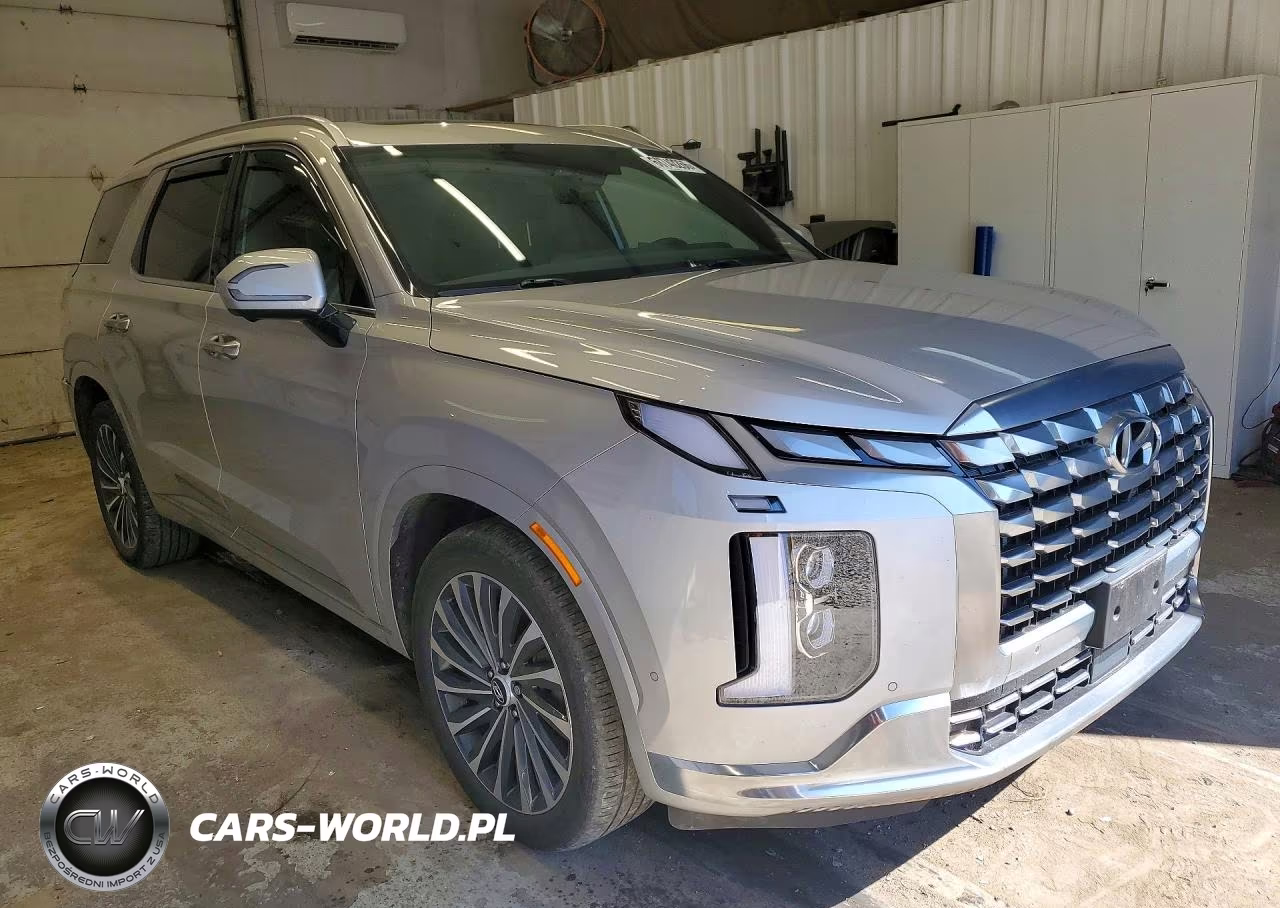 2025 Hyundai Palisade Calligraphy VIN:KM8R7DGE4SU880235 - 4