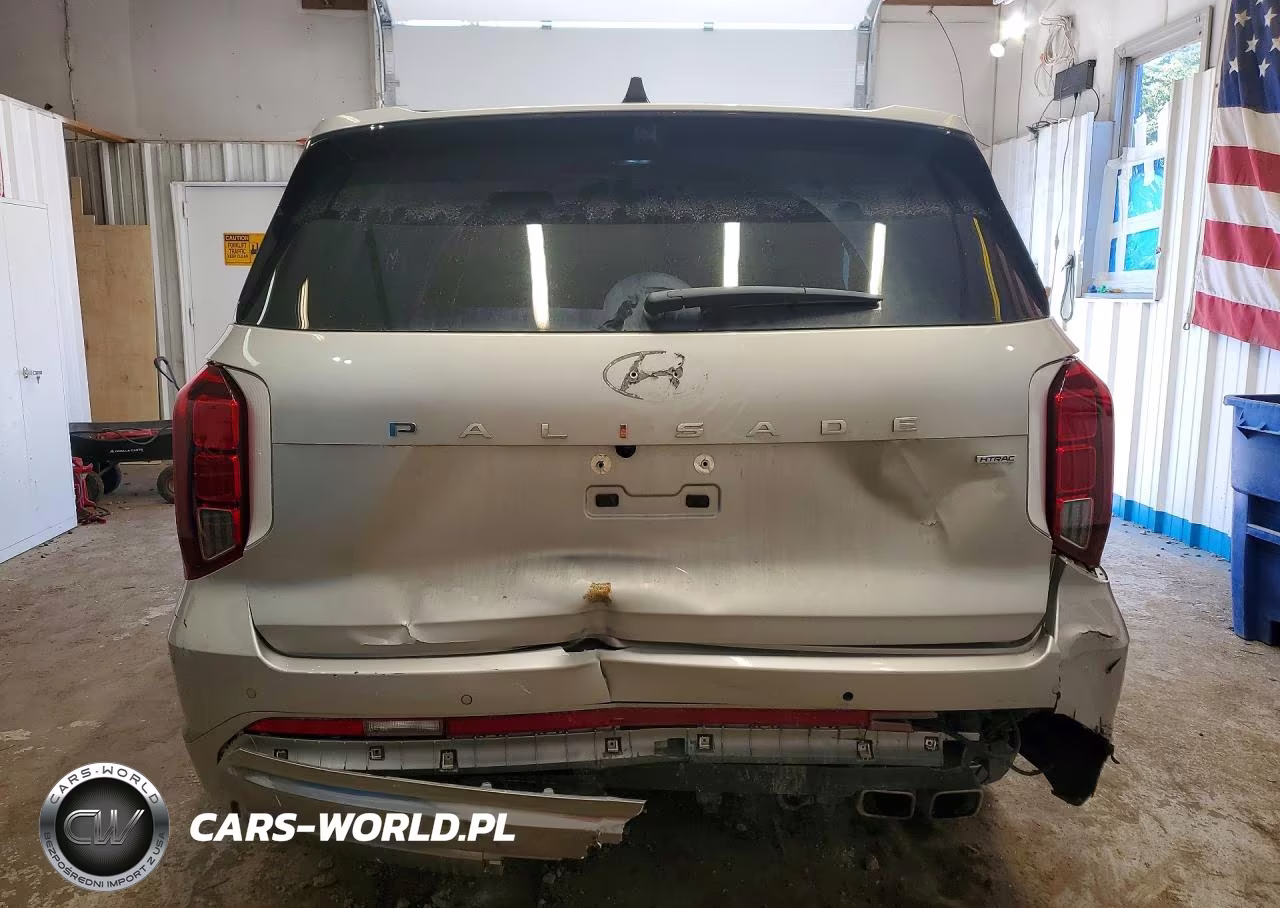 2025 Hyundai Palisade Calligraphy VIN:KM8R7DGE4SU880235 - 6