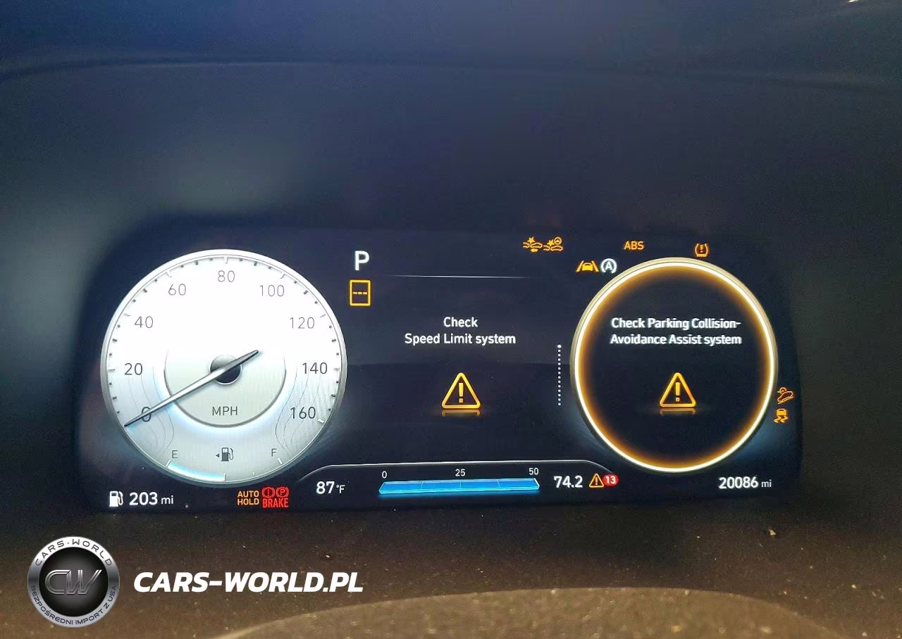 2025 Hyundai Palisade Calligraphy VIN:KM8R7DGE4SU880235 - 9