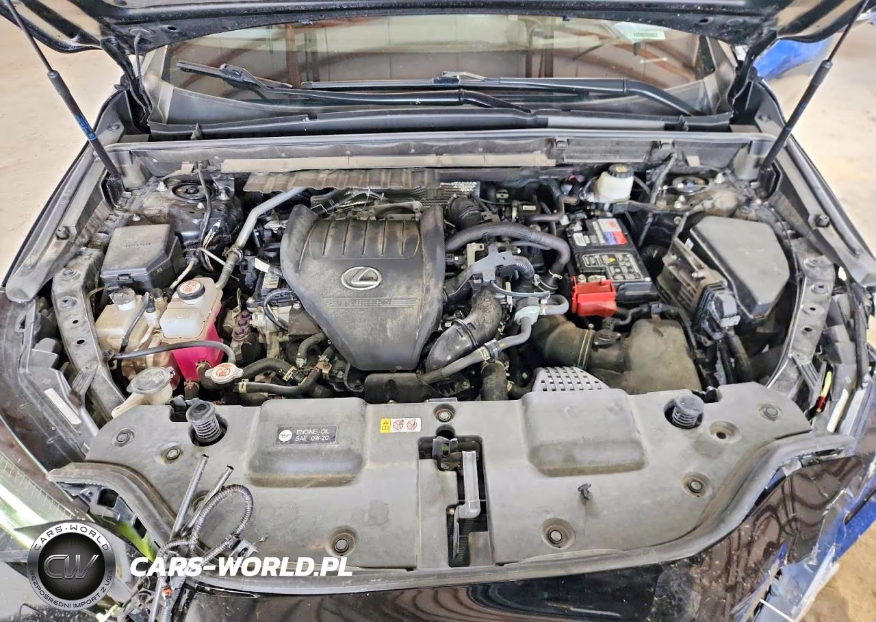 2022 Lexus Nx 350 VIN:JTJKGCEZ8N2001273 - 12