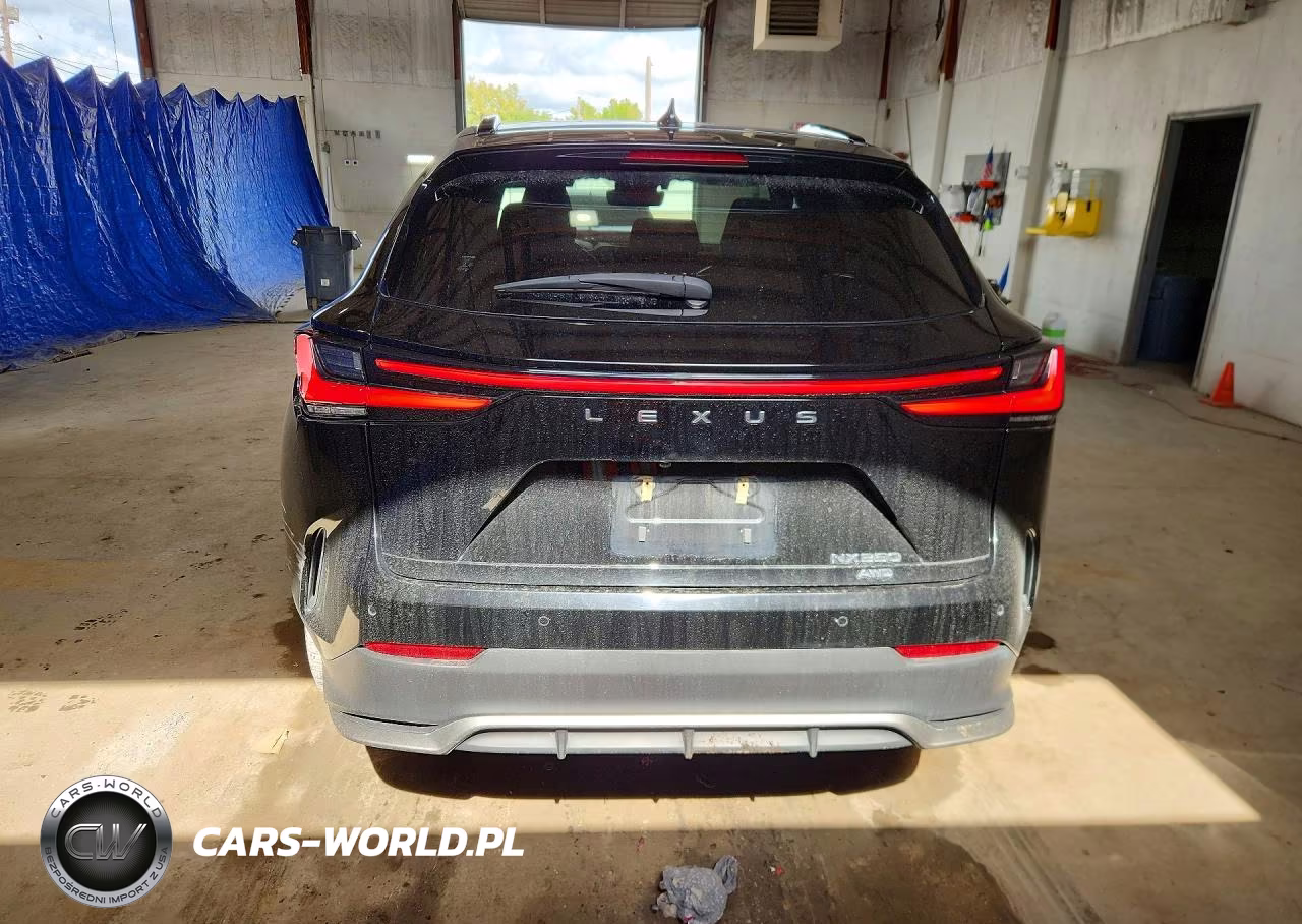 2022 Lexus Nx 350 VIN:JTJKGCEZ8N2001273 - 6