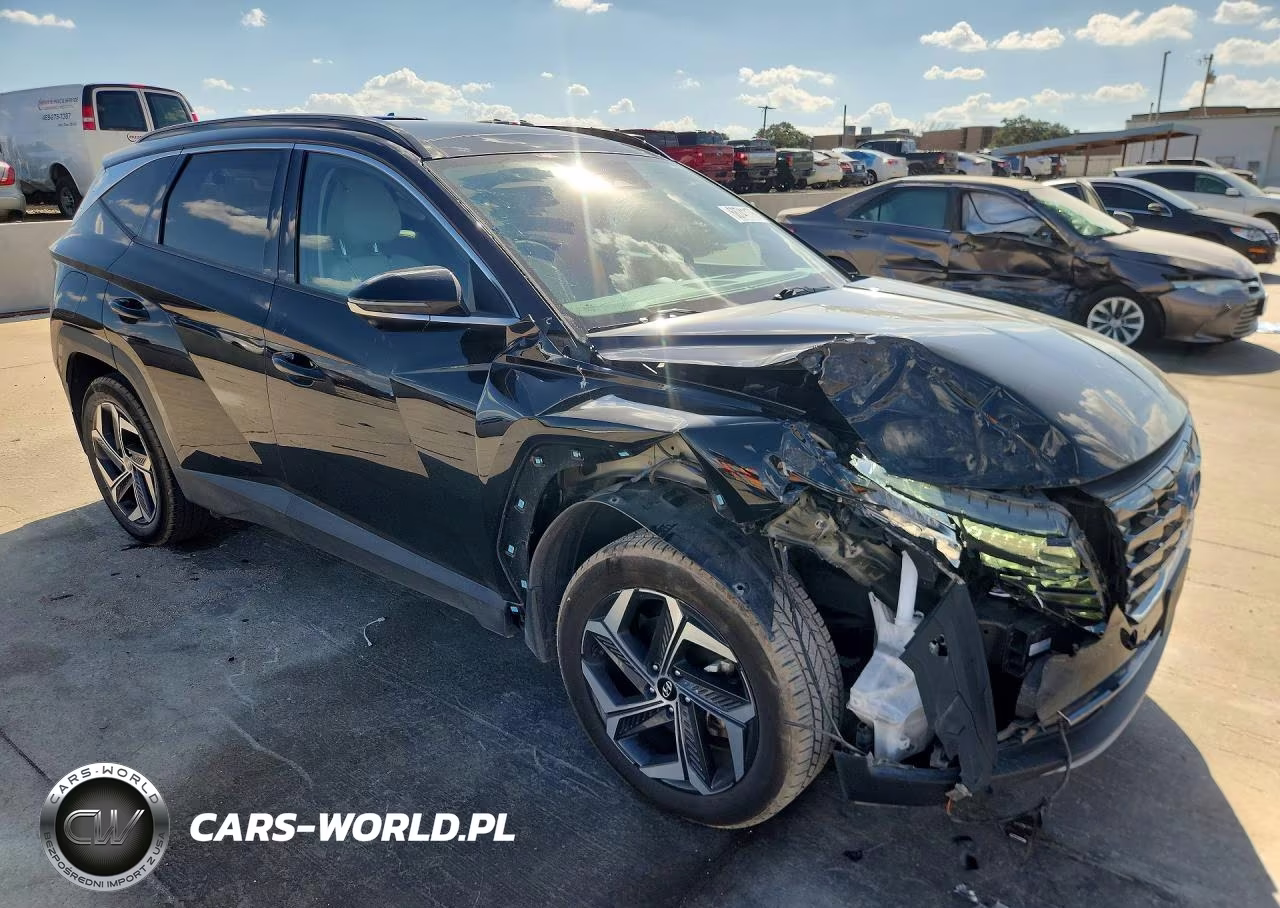 2022 Hyundai Tucson Limited VIN:KM8JFDA2XNU065945 - 4