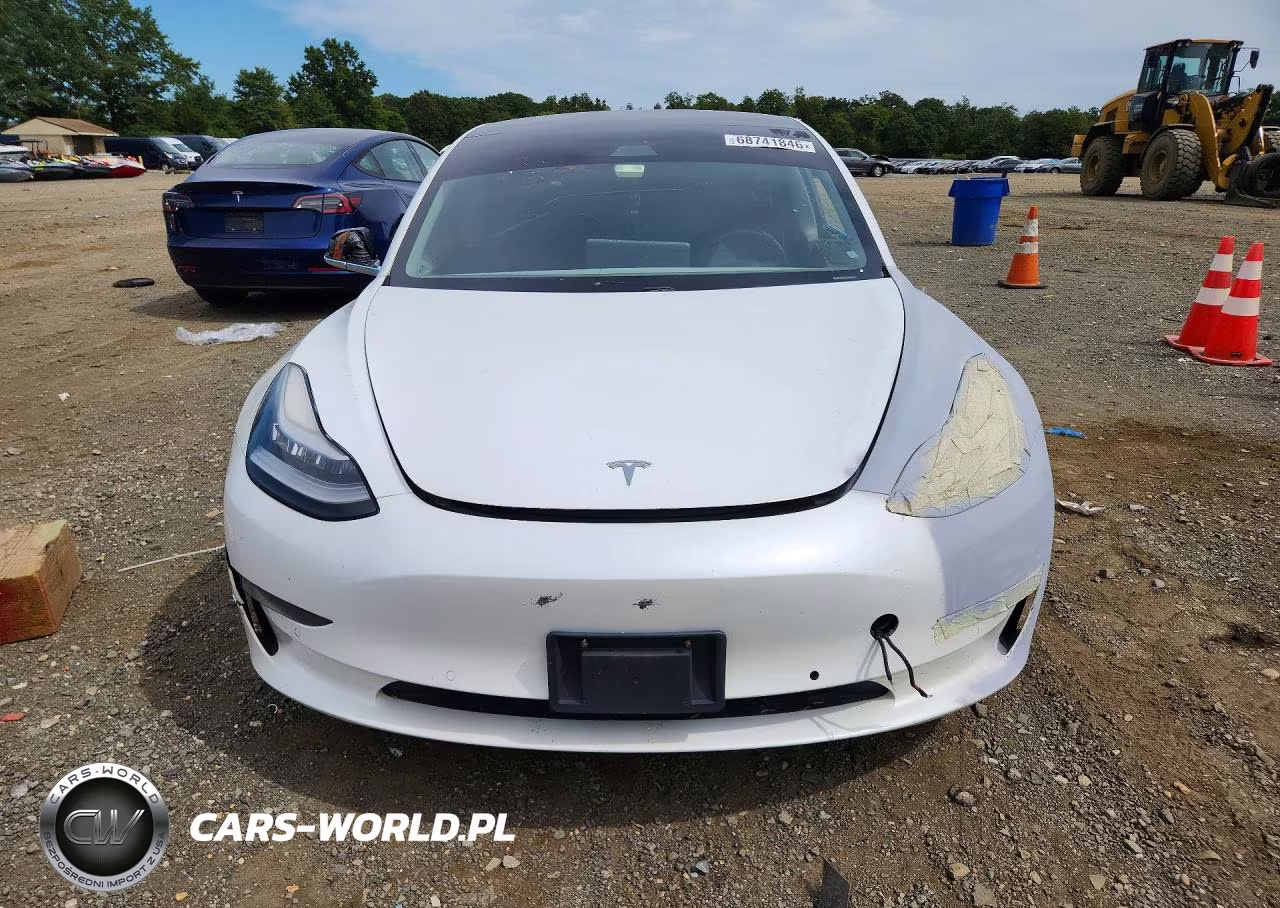 2020 Tesla Model 3 VIN:5YJ3E1EB1LF667356 - 5