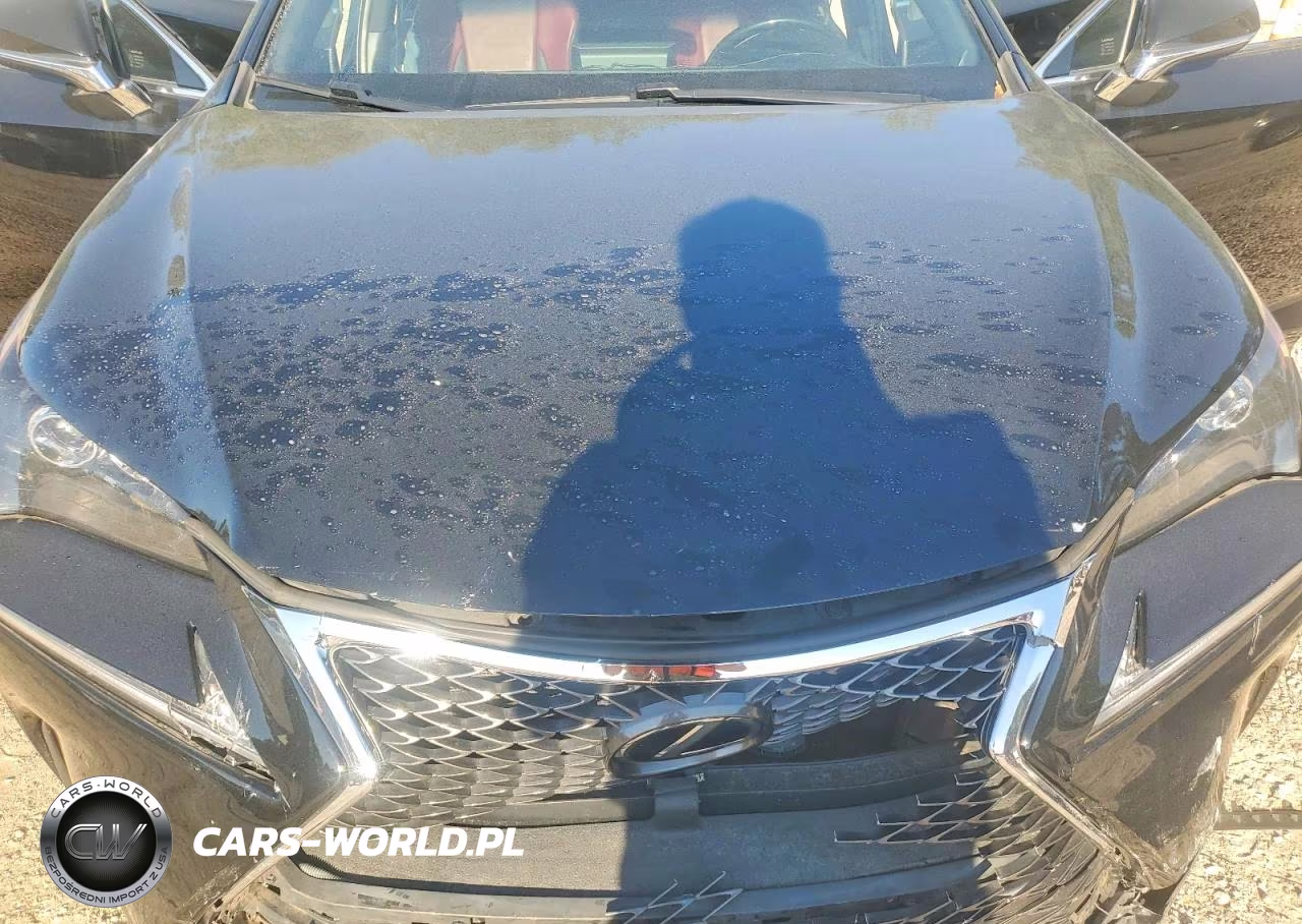 2017 Lexus Nx 200T F Sport VIN:JTJBARBZ1H2143316 - 12