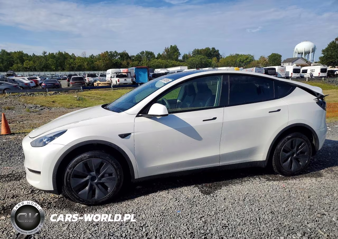 2024 Tesla Model Y