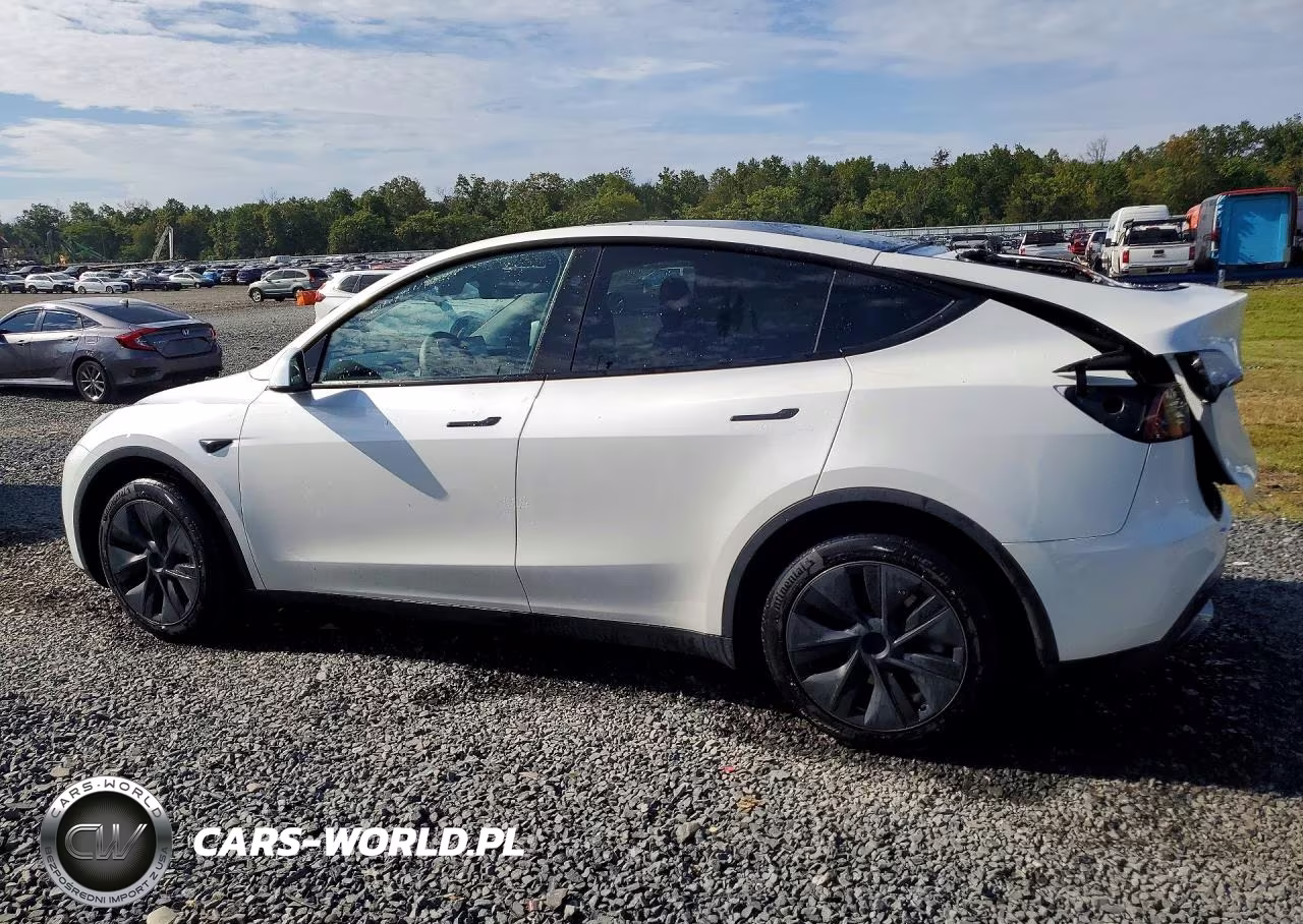 2024 Tesla Model Y VIN:7SAYGDEE2RF161588 - 2