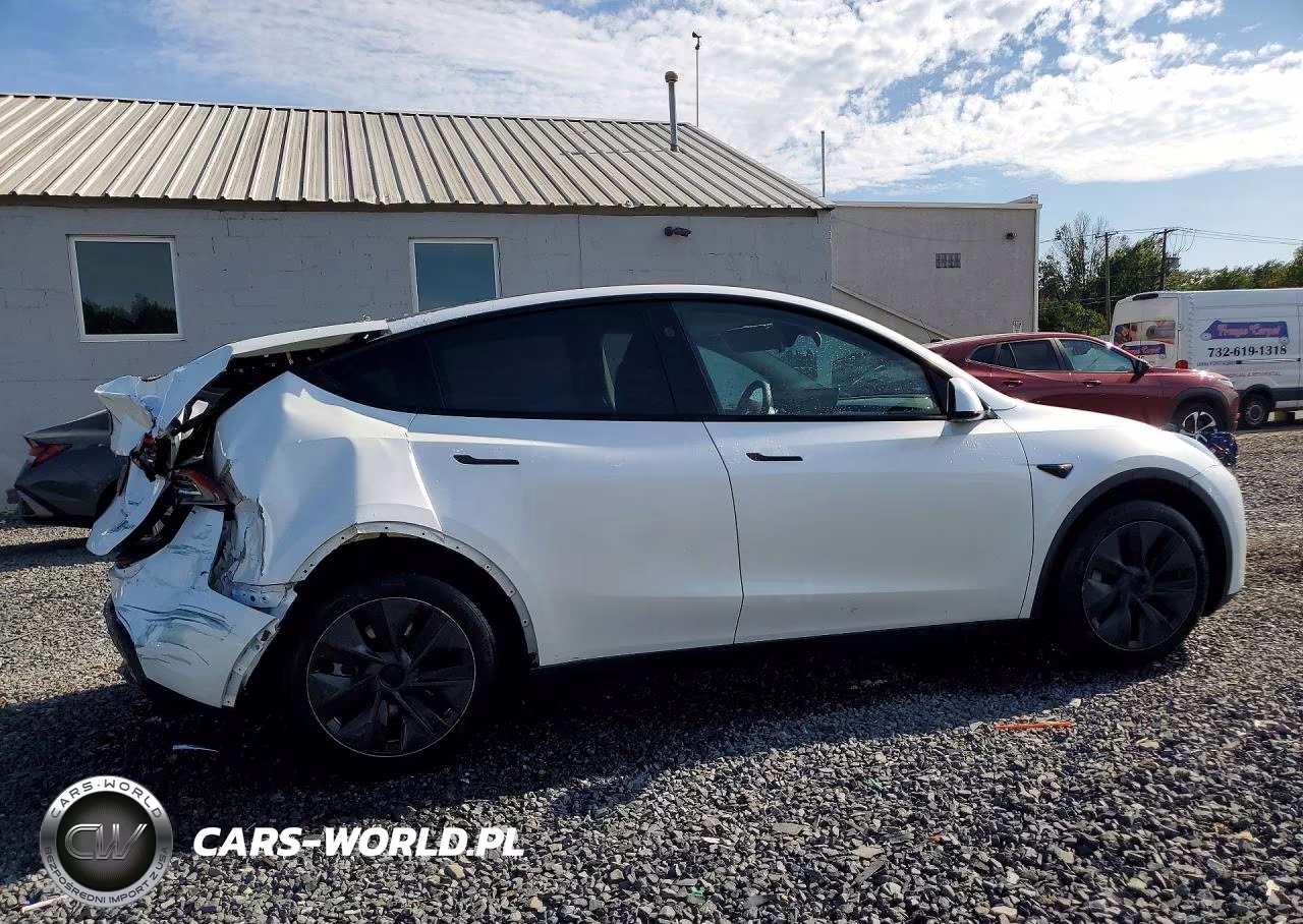 2024 Tesla Model Y VIN:7SAYGDEE2RF161588 - 3