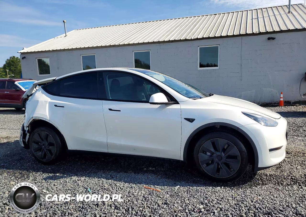 2024 Tesla Model Y VIN:7SAYGDEE2RF161588 - 4