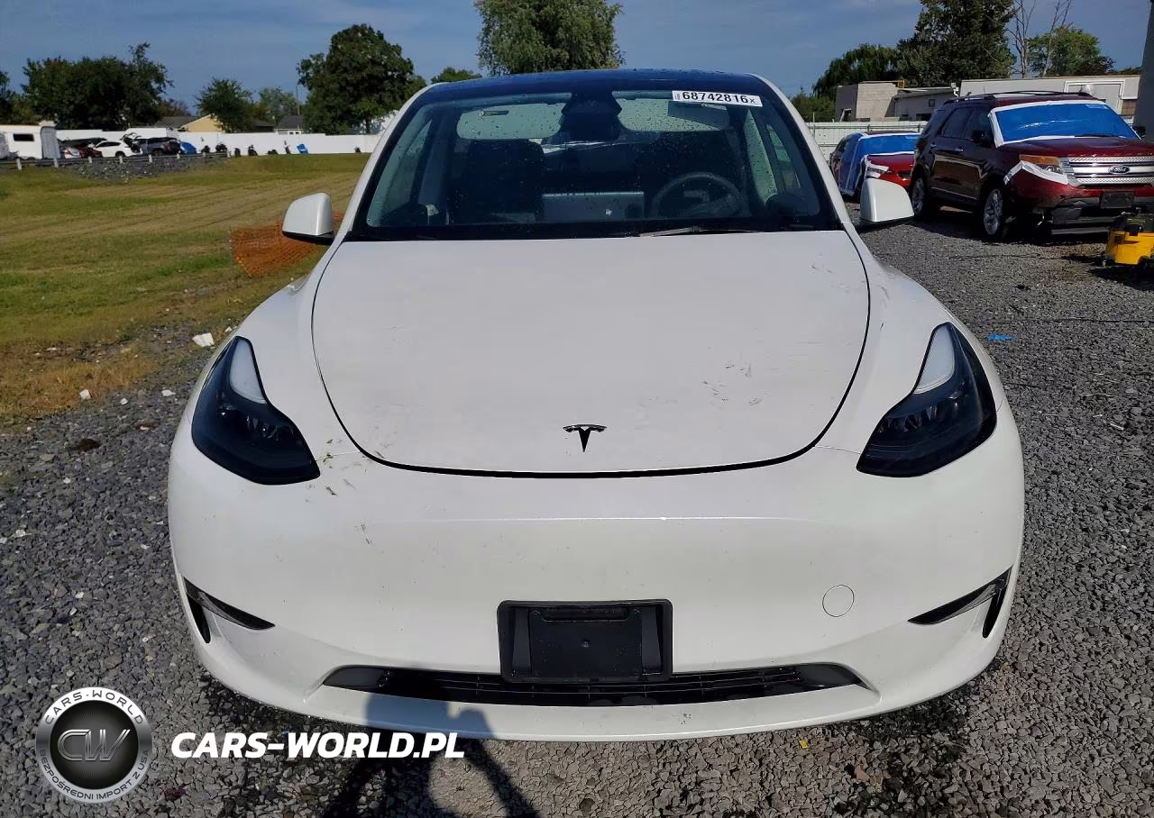 2024 Tesla Model Y VIN:7SAYGDEE2RF161588 - 5