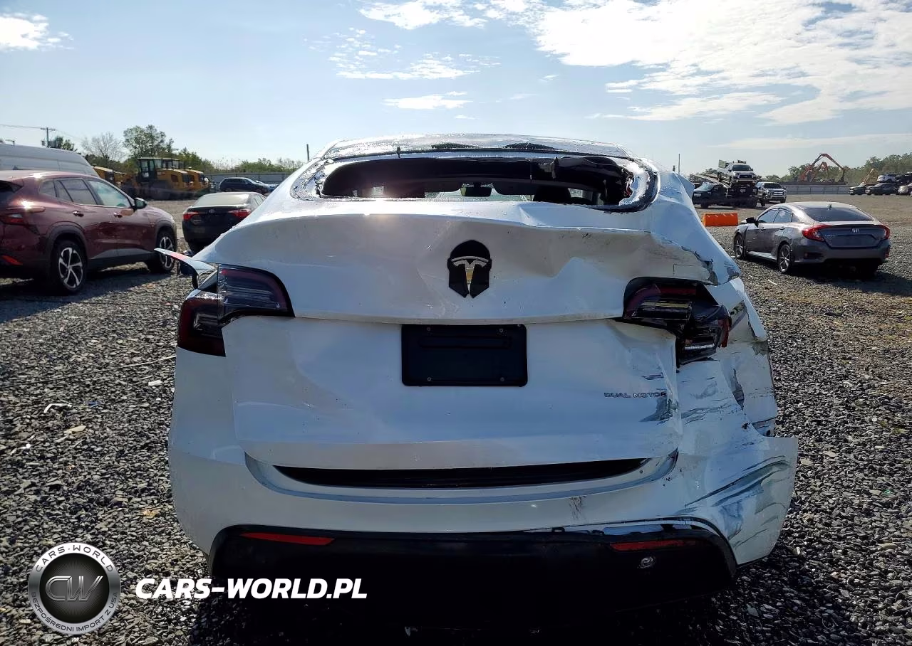 2024 Tesla Model Y VIN:7SAYGDEE2RF161588 - 6