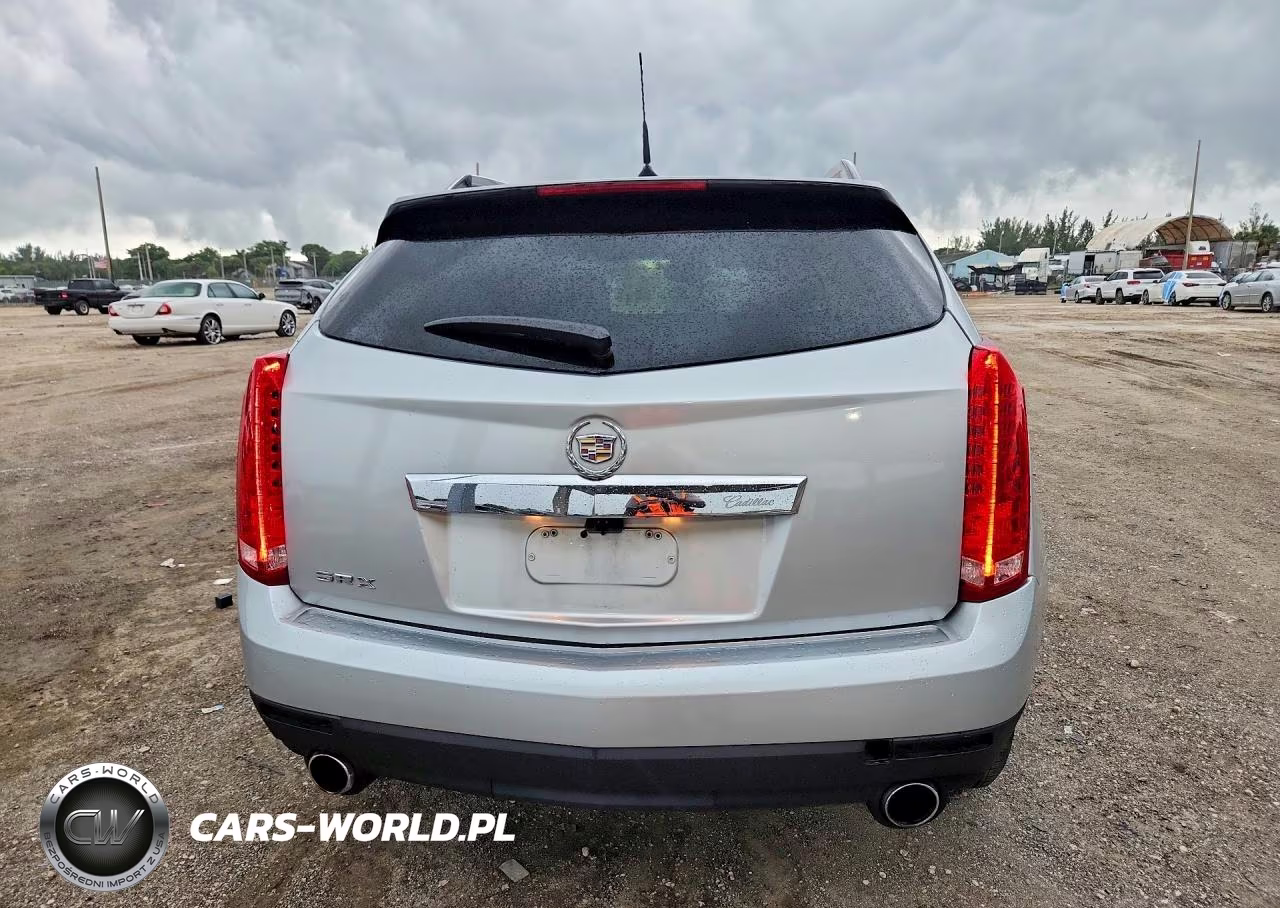 2010 Cadillac Srx Luxury Collection VIN:3GYFNAEY0AS500020 - 6