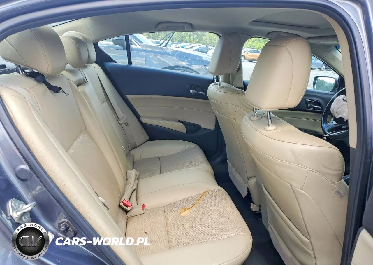 2014 Acura Ilx 20 Premium VIN:19VDE1F57EE009314 - 10
