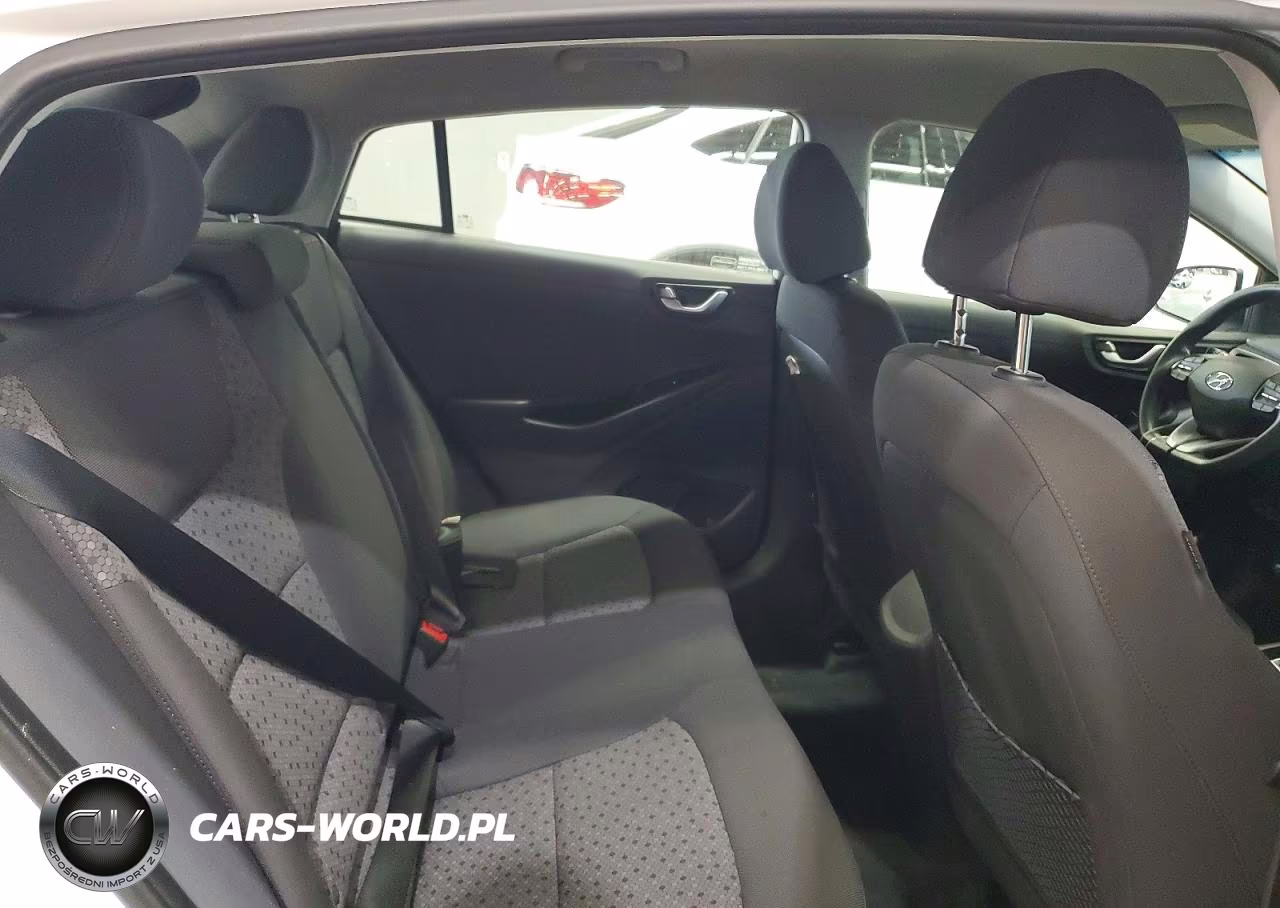 2019 Hyundai Ioniq Blue VIN:KMHC65LC6KU108192 - 10