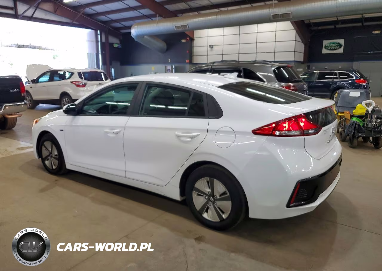 2019 Hyundai Ioniq Blue VIN:KMHC65LC6KU108192 - 2