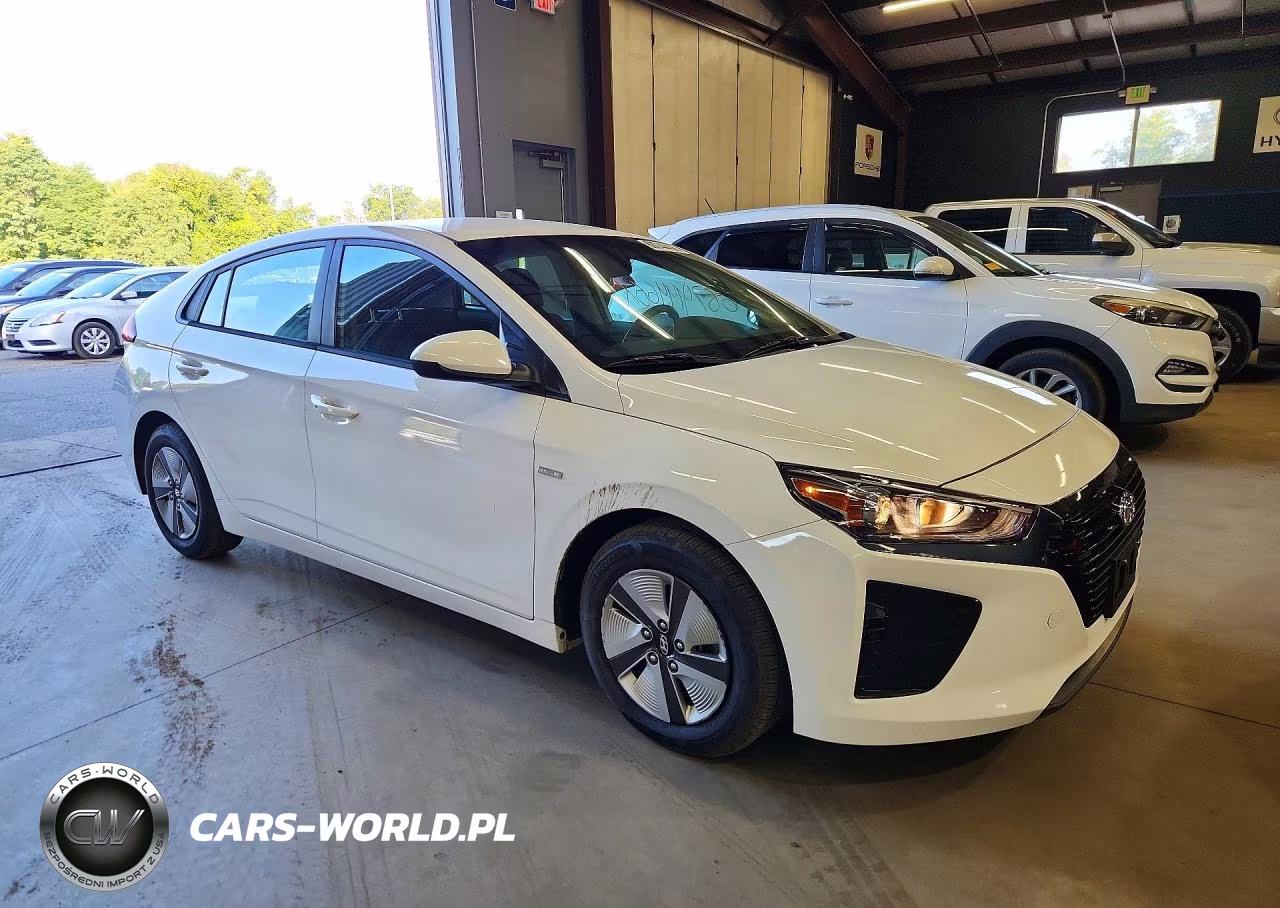 2019 Hyundai Ioniq Blue VIN:KMHC65LC6KU108192 - 4