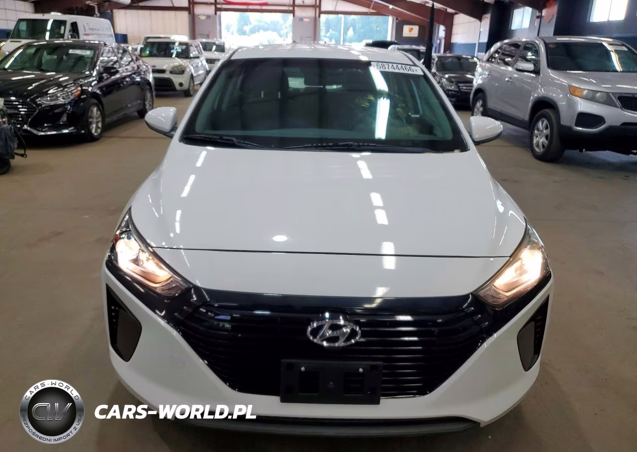 2019 Hyundai Ioniq Blue VIN:KMHC65LC6KU108192 - 5
