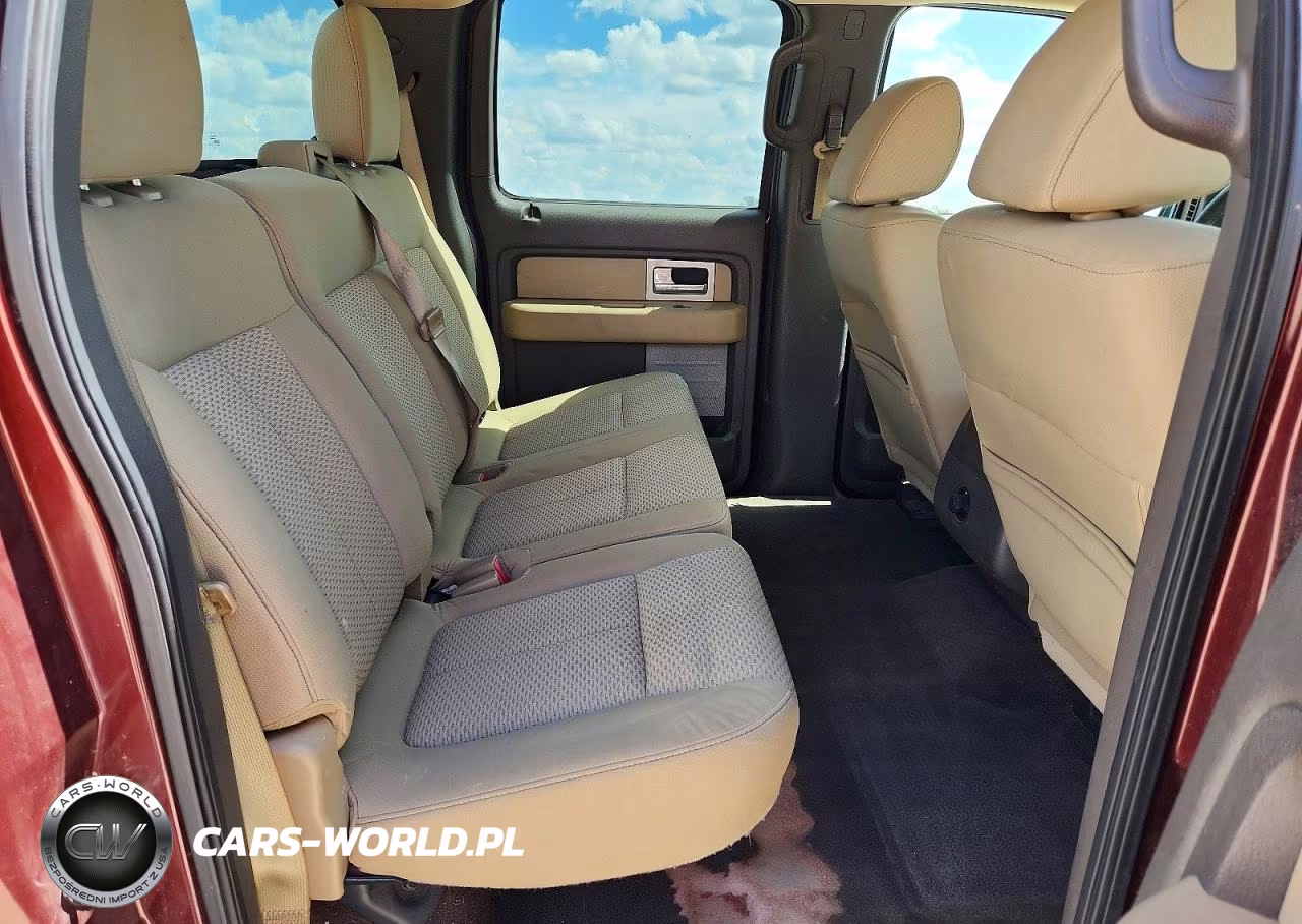 2010 Ford F150 Supercrew VIN:1FTEW1E85AKA75887 - 10