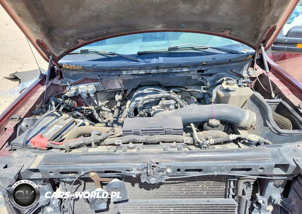 2010 Ford F150 Supercrew VIN:1FTEW1E85AKA75887 - 11