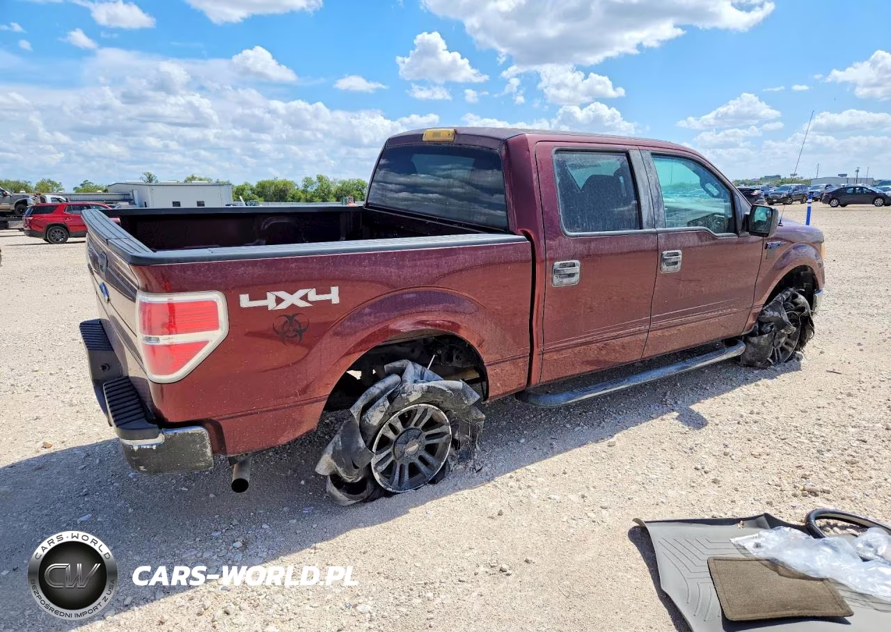 2010 Ford F150 Supercrew VIN:1FTEW1E85AKA75887 - 3