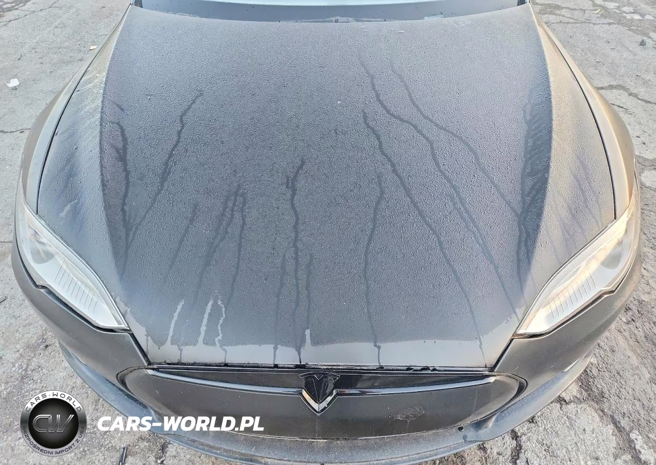 2013 Tesl Model S VIN:5YJSA1CP3DFP06052 - 11