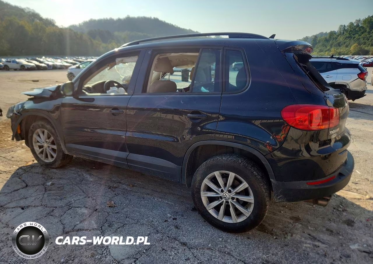 2015 Volkswagen Tiguan S VIN:WVGAV7AX2FW554992 - 2