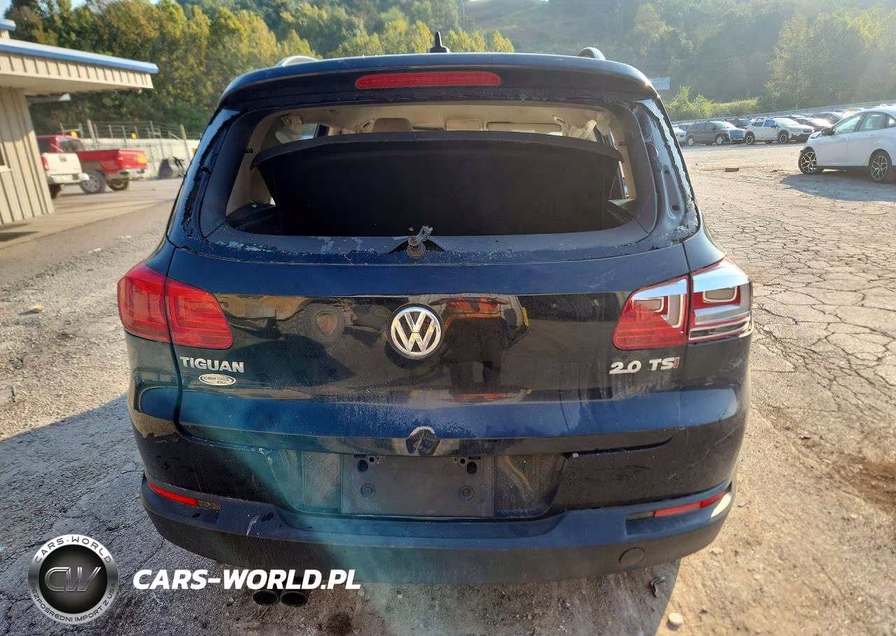 2015 Volkswagen Tiguan S VIN:WVGAV7AX2FW554992 - 6
