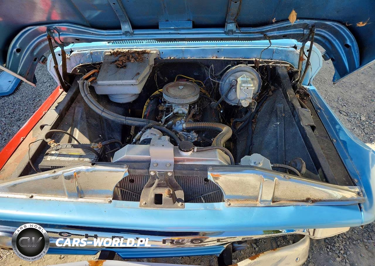 1966 Chevrolet C1500 Pick VIN:C1546J118509 - 11