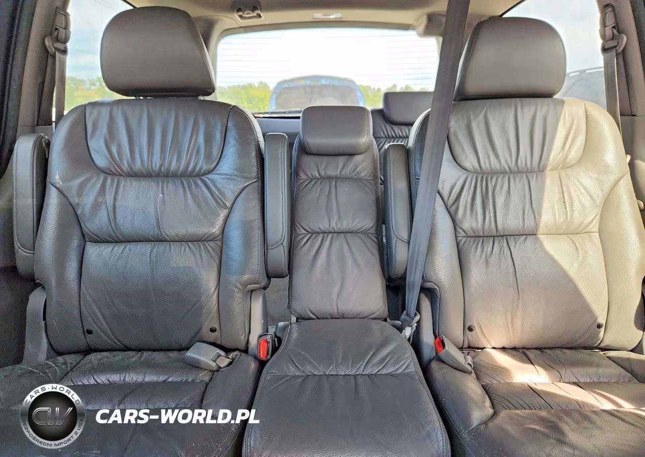 2010 Honda Odyssey Exl VIN:5FNRL3H79AB020235 - 10