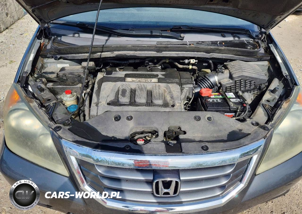2010 Honda Odyssey Exl VIN:5FNRL3H79AB020235 - 12