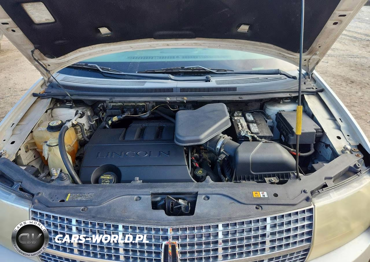 2009 Lincoln Mkx VIN:2LMDU68C39BJ01617 - 11