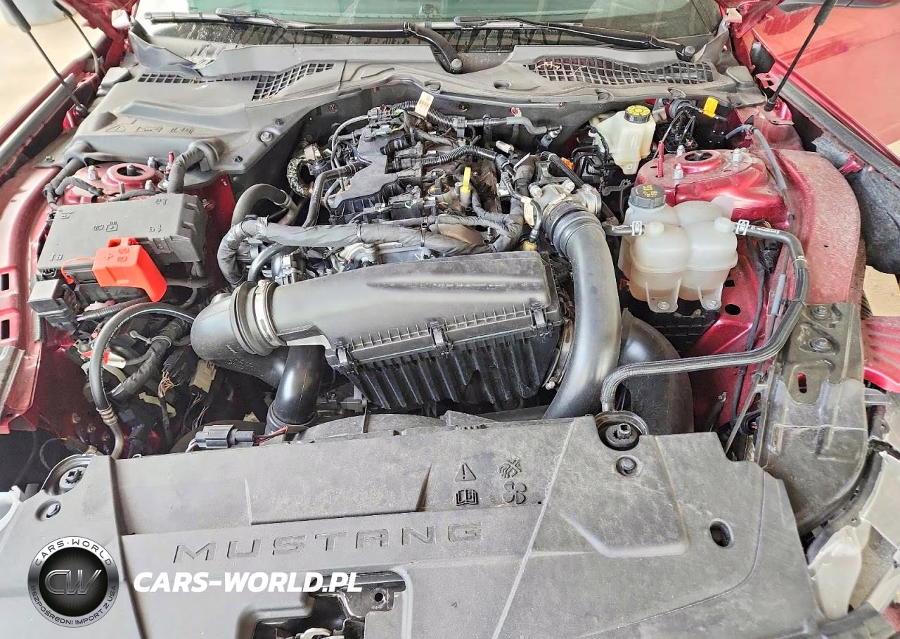 2025 Ford Mustang VIN:1FA6P8TH3S5128430 - 11