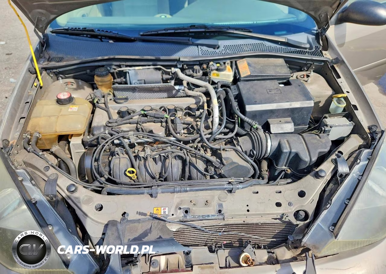 2004 Ford Focus Zts VIN:1FAFP38Z54W153802 - 11