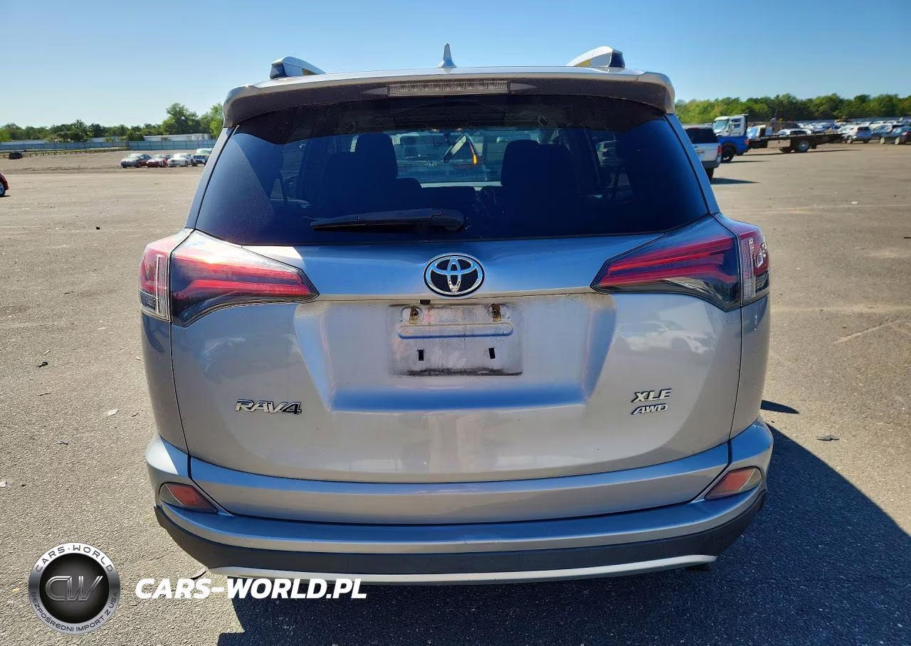 2016 Toyota Rav4 Xle VIN:2T3RFREV6GW461725 - 6