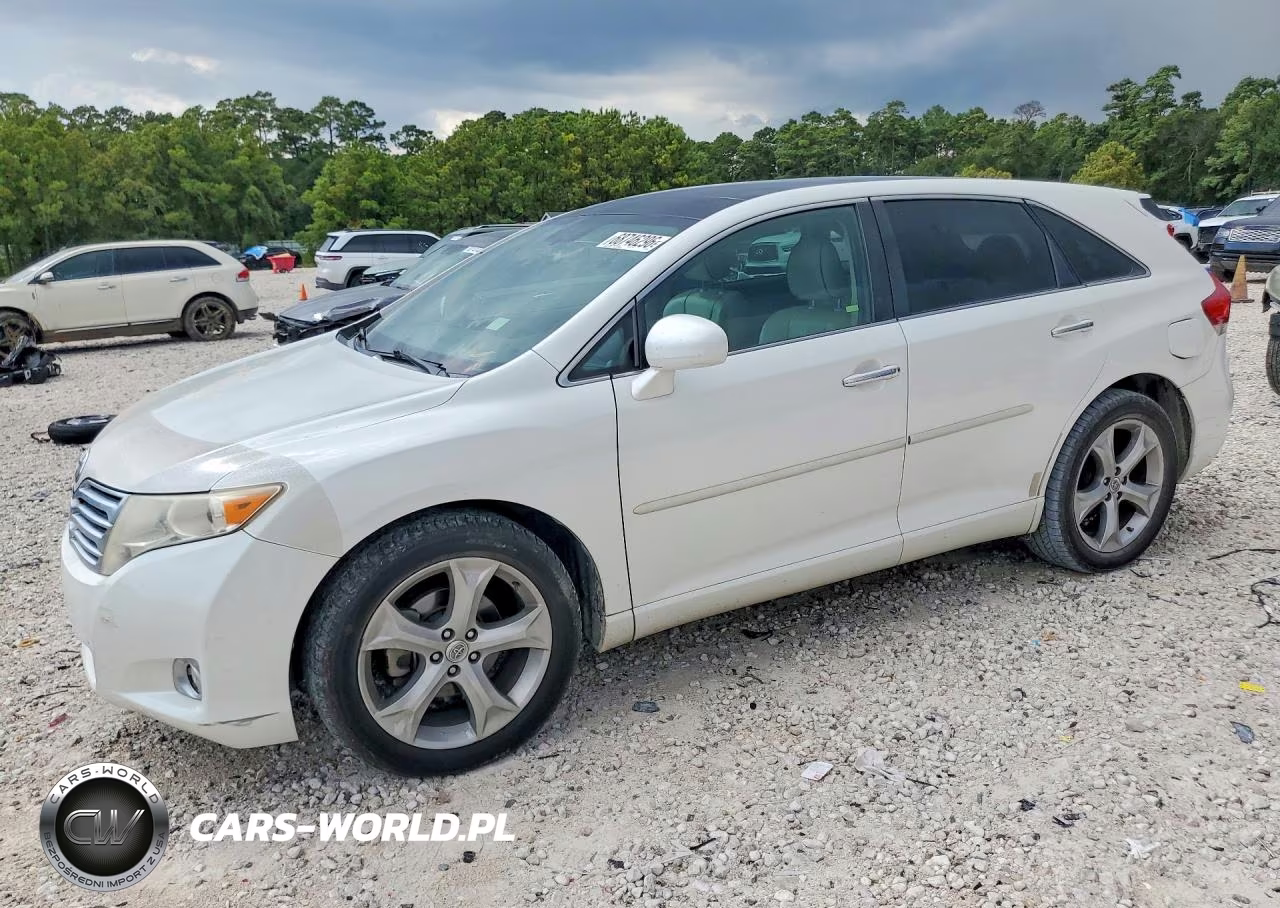 2009 Toyota Venza Awd V6 VIN:4T3BK11A09U011833 - 1