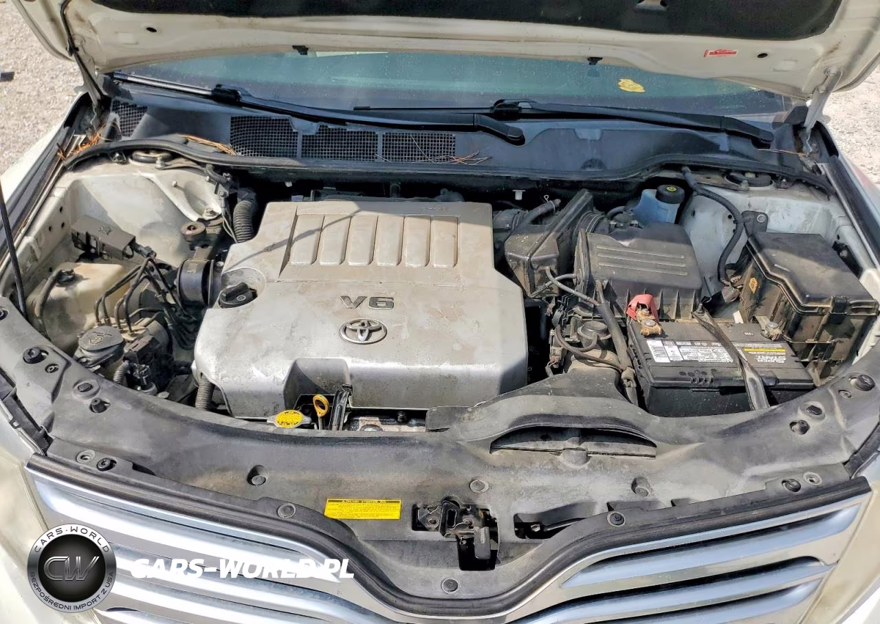 2009 Toyota Venza Awd V6 VIN:4T3BK11A09U011833 - 12
