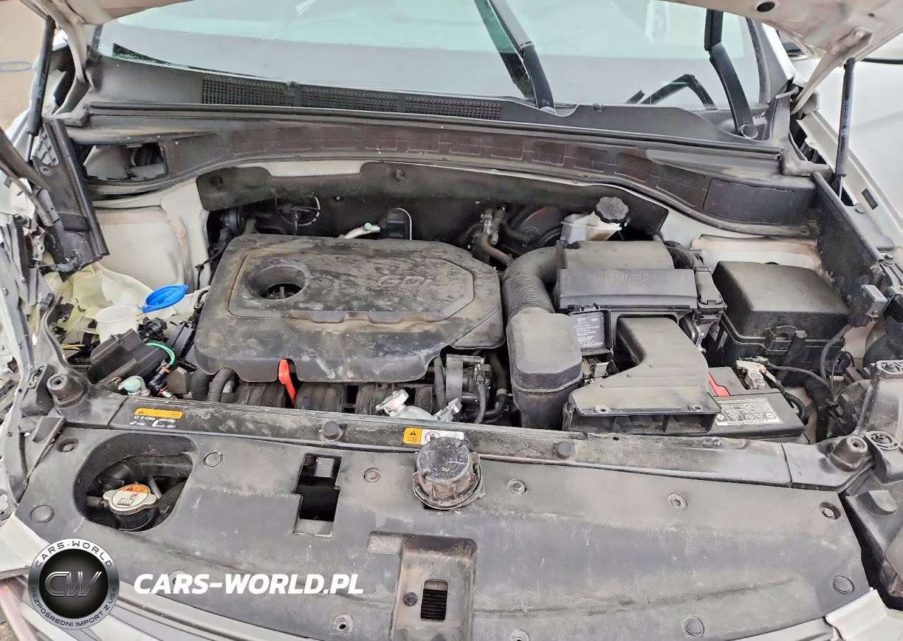 2017 Hyundai Santa Fe Sport 2.4L VIN:5NMZUDLB7HH008138 - 11